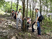 Thumbnail of P5040009.JPG