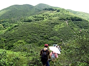 Thumbnail of P5040039.JPG