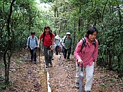 Thumbnail of P5250011.JPG