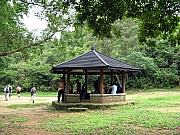 Thumbnail of P6150056.JPG
