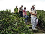 Thumbnail of P7060041.JPG