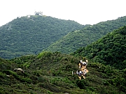 Thumbnail of P7060060.JPG