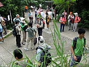Thumbnail of P7200015.JPG