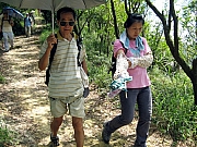 Thumbnail of P8170051.JPG