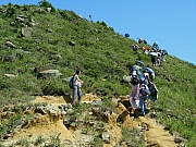 Thumbnail of P8240025.JPG