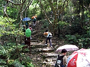 Thumbnail of P9140030.JPG