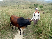 Thumbnail of PA120068.JPG