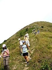 Thumbnail of PA120090.JPG