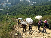 Thumbnail of PA260060.JPG