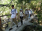 Thumbnail of PB160012.JPG