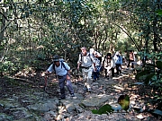 Thumbnail of PB160030.JPG