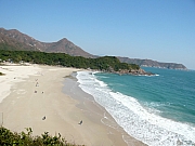 Thumbnail of PIC_PK_Leung_19.JPG