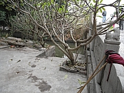 Thumbnail of PC26_029.JPG