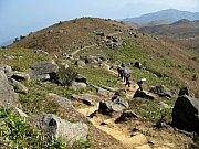 Thumbnail of P1110038.JPG