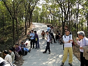 Thumbnail of P1280056.JPG