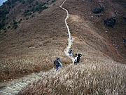 Thumbnail of PIC_Paul_Yu_16.JPG