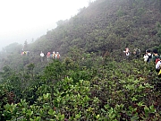 Thumbnail of P2220060.JPG