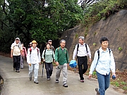 Thumbnail of pic_HoSiuKit_031.JPG
