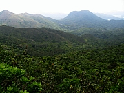 Thumbnail of P5100044.jpg