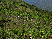 Thumbnail of P5100067.jpg