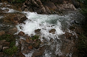 Thumbnail of PIC_WC_Wong_030.JPG
