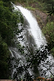 Thumbnail of PIC_WC_Wong_065.JPG