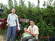 Thumbnail of pic_PC_Liang_09.JPG