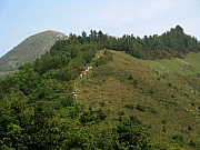 Thumbnail of PA040029.JPG
