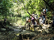 Thumbnail of PA250091.JPG