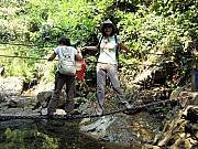 Thumbnail of PA250092.JPG