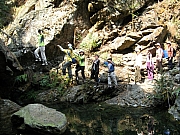 Thumbnail of PA250131.JPG