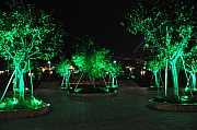 Thumbnail of PIC_CH_Chu_227.JPG