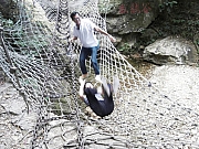Thumbnail of PIC_SC_Lo_049.JPG