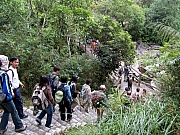 Thumbnail of PB150003.JPG