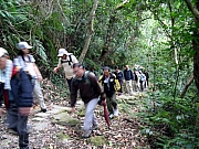 Thumbnail of PB150014.JPG