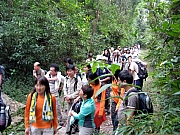 Thumbnail of PB150018.JPG