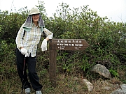 Thumbnail of PB150106.JPG