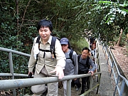 Thumbnail of PC060003.JPG