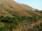 Thumbnail of PC060043.JPG