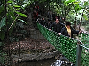 Thumbnail of PC270012.JPG