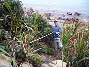 Thumbnail of pic_Tommy_Chu_41.JPG
