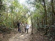 Thumbnail of pic_Wai_016.JPG