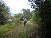 Thumbnail of pic_Wai_73.JPG