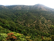 Thumbnail of P3140005.JPG