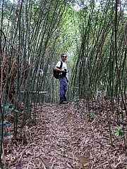 Thumbnail of pic_Simon_10.JPG