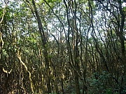 Thumbnail of pic_Wai_103.JPG