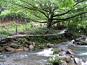 Thumbnail of P4020137.JPG