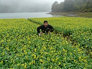 Thumbnail of pic_Wai_066.JPG