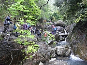 Thumbnail of pic_Wai_337.JPG