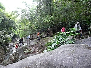 Thumbnail of pic_Wai_340.JPG